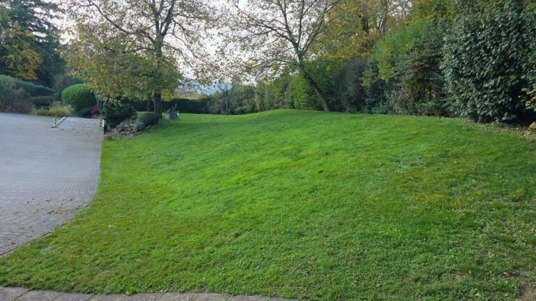 Leserblick auf wichtige Schritte für einen gepflegten Garten